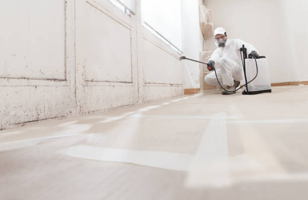 24/7 Emergency Basement Mold Remediation experts in East Petersburg, PA